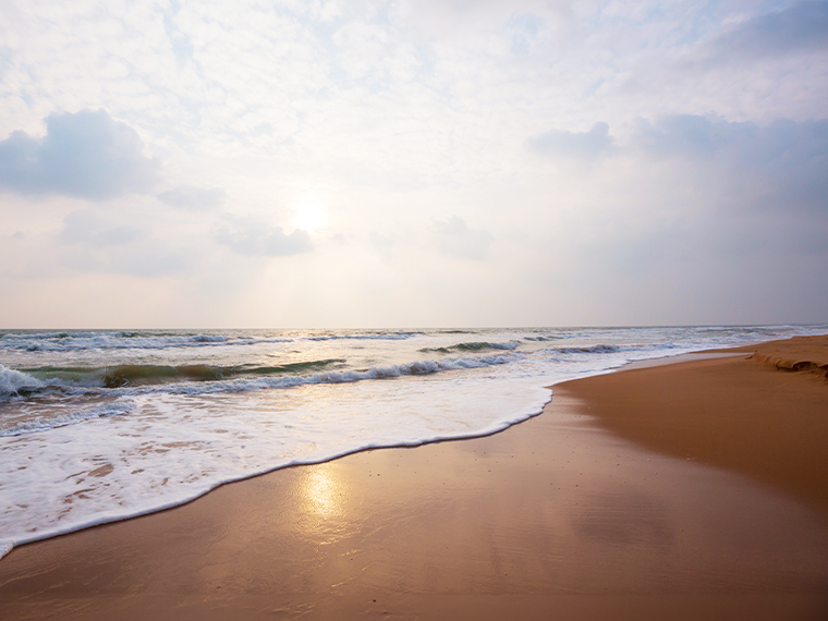 Beaches and Coastal Experiences