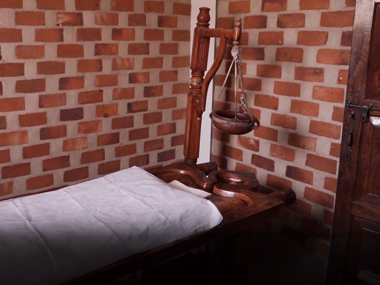 Ayurveda Activity